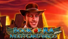 Book of Ra™ Multi Card Bingo deluxe